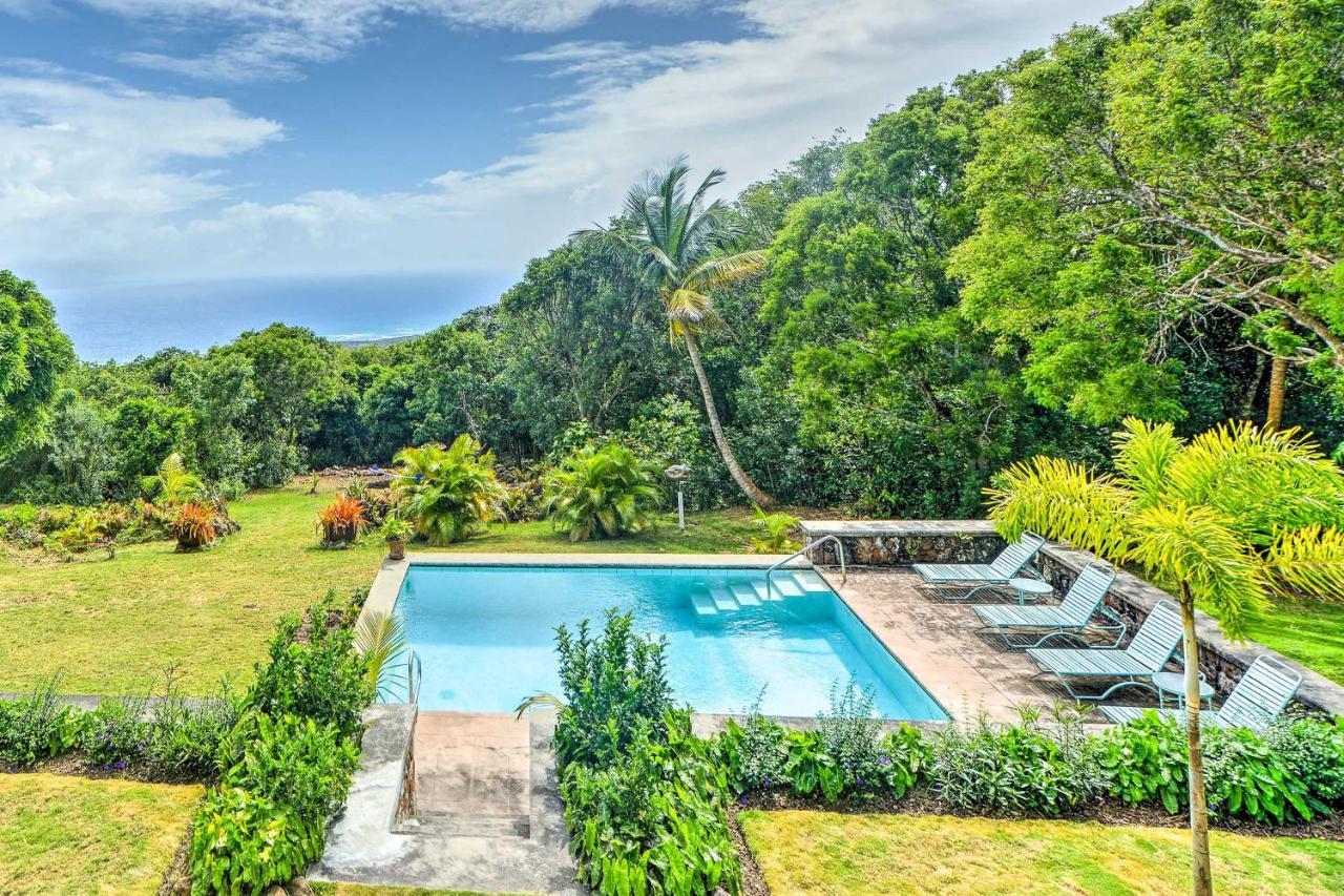 Nevis Home With Pool, Stunning Jungle And Ocean Views! Gingerland Ngoại thất bức ảnh