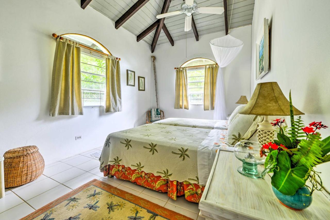 Nevis Home With Pool, Stunning Jungle And Ocean Views! Gingerland Ngoại thất bức ảnh